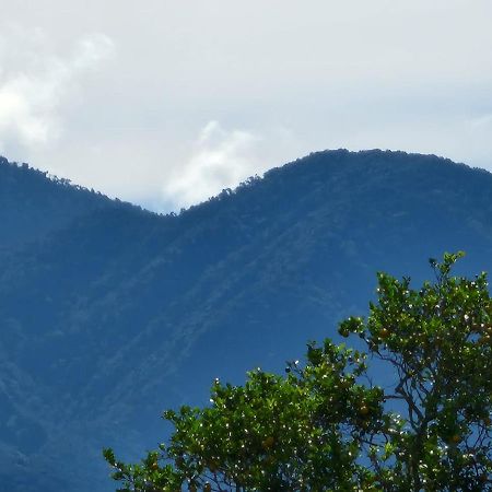 Hospedaje Finca Agroturistica Dona Rufa Rio Sereno Bagian luar foto