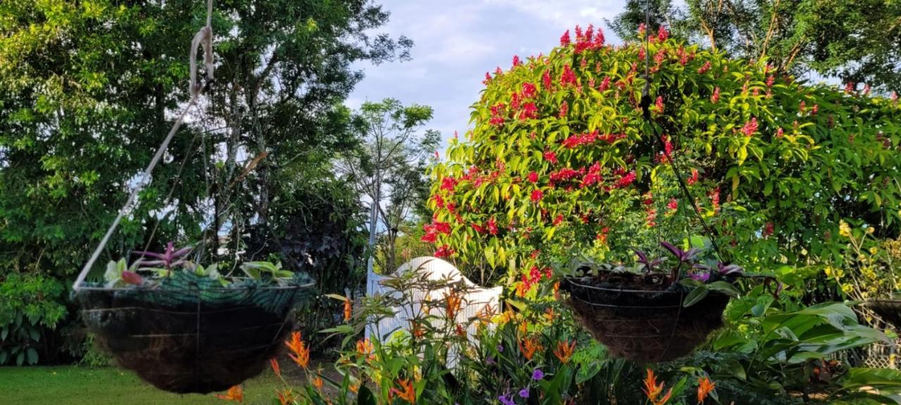 Hospedaje Finca Agroturistica Dona Rufa Rio Sereno Bagian luar foto