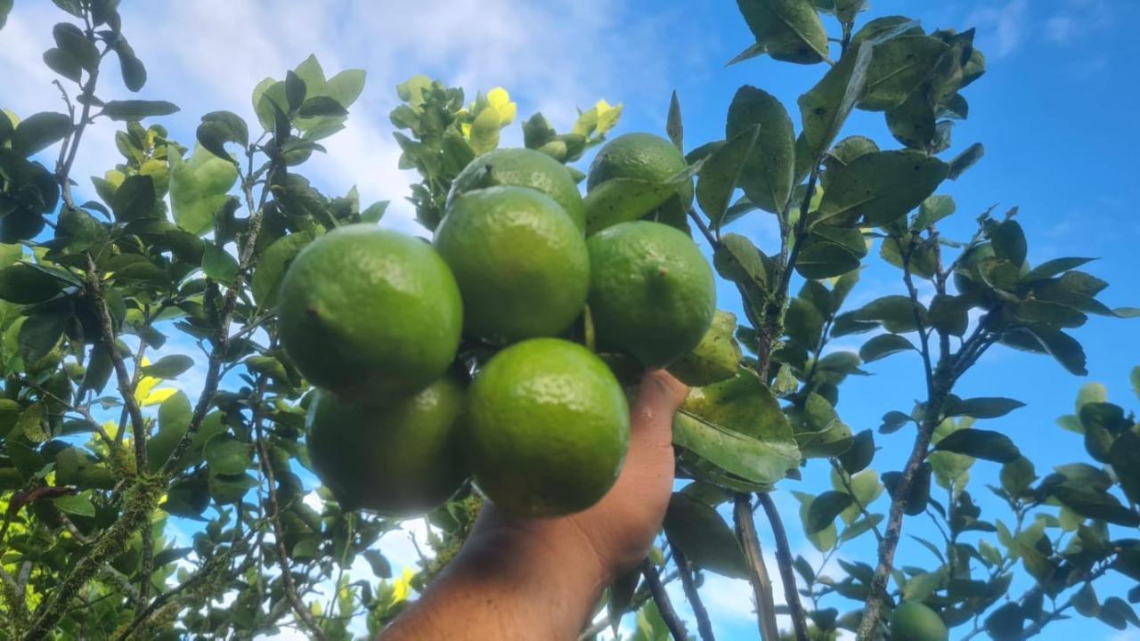 Hospedaje Finca Agroturistica Dona Rufa Rio Sereno Bagian luar foto