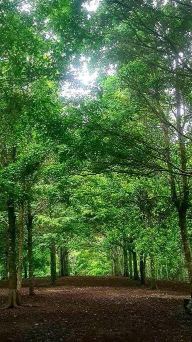 Hospedaje Finca Agroturistica Dona Rufa Rio Sereno Bagian luar foto