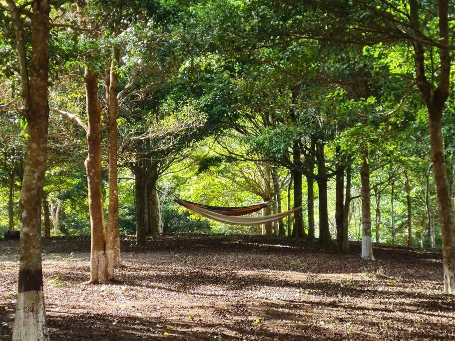Hospedaje Finca Agroturistica Dona Rufa Rio Sereno Bagian luar foto