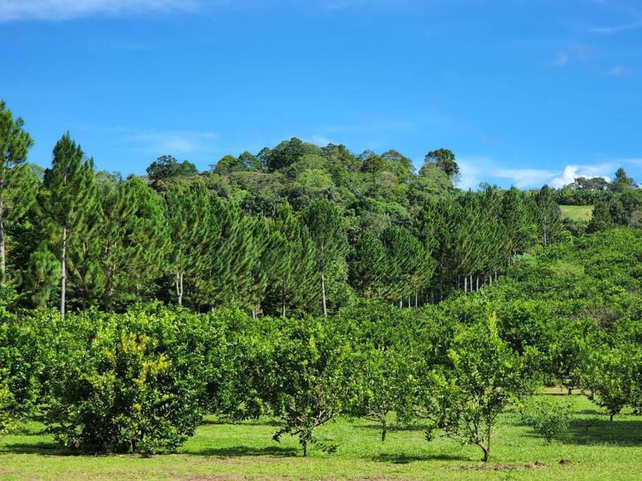 Hospedaje Finca Agroturistica Dona Rufa Rio Sereno Bagian luar foto