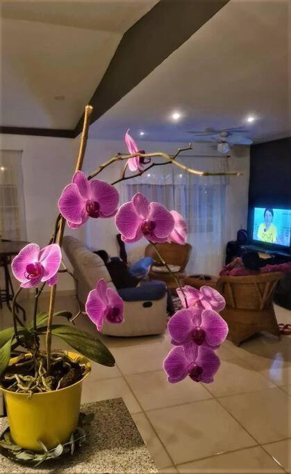 Hospedaje Finca Agroturistica Dona Rufa Rio Sereno Bagian luar foto