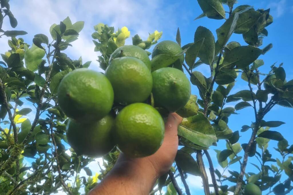Hospedaje Finca Agroturistica Dona Rufa Rio Sereno Bagian luar foto