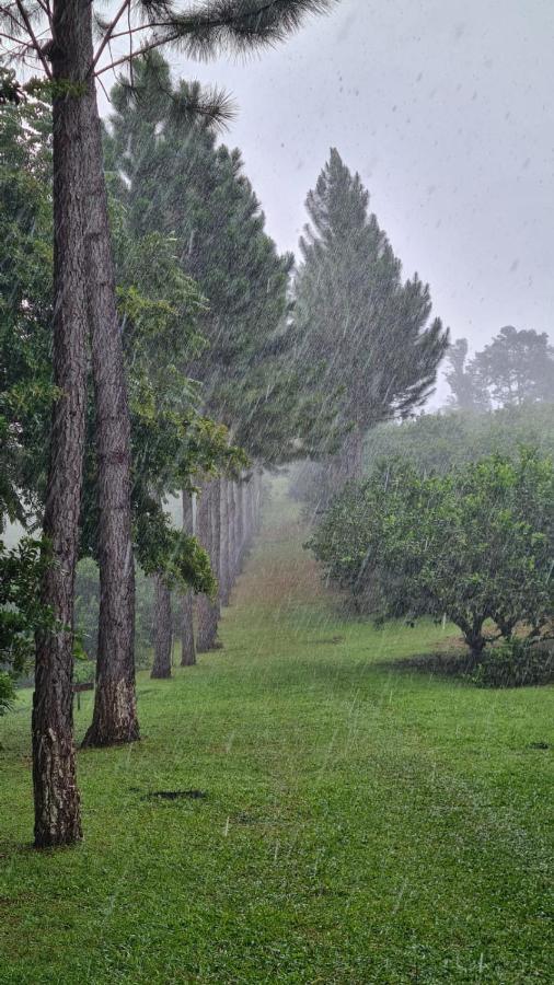 Hospedaje Finca Agroturistica Dona Rufa Rio Sereno Bagian luar foto