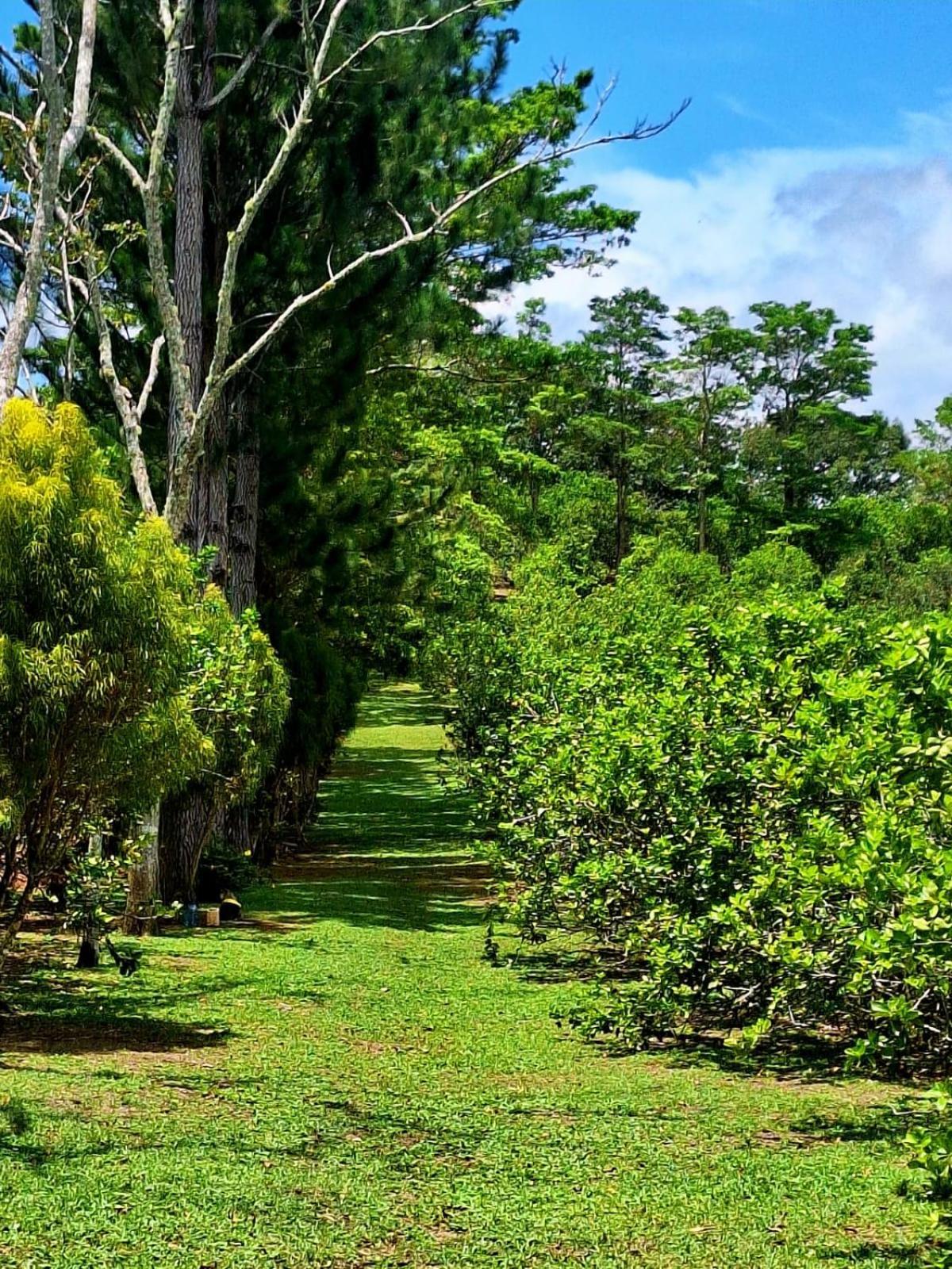 Hospedaje Finca Agroturistica Dona Rufa Rio Sereno Ruang foto